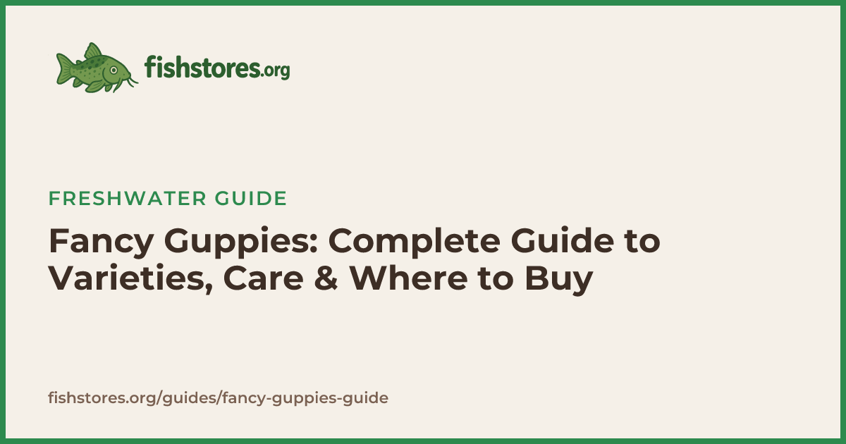 Fancy Guppies: Varieties, Care Guide & Where to Buy