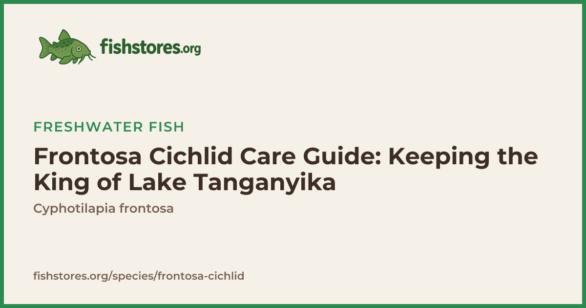 Frontosa Cichlid Care: Tank Size, Diet & Tank Mates