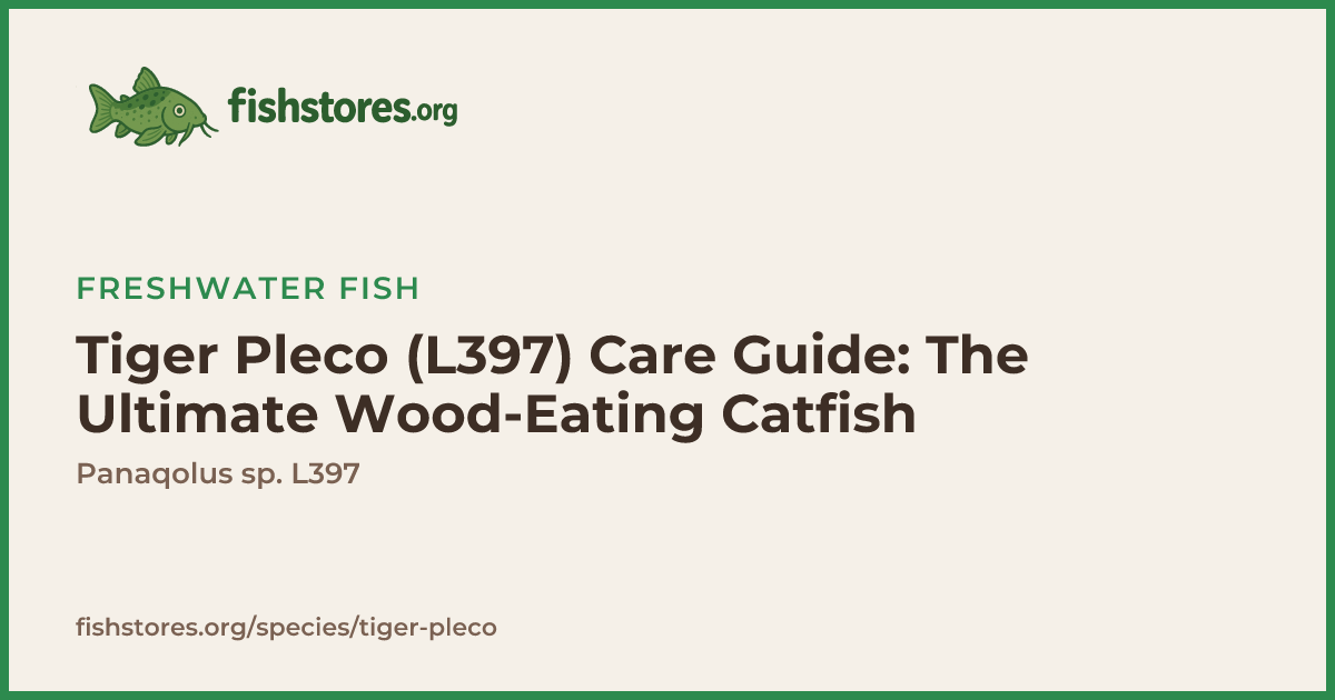 Tiger Pleco (L397) Care Guide: Size, Diet & Breeding Tips