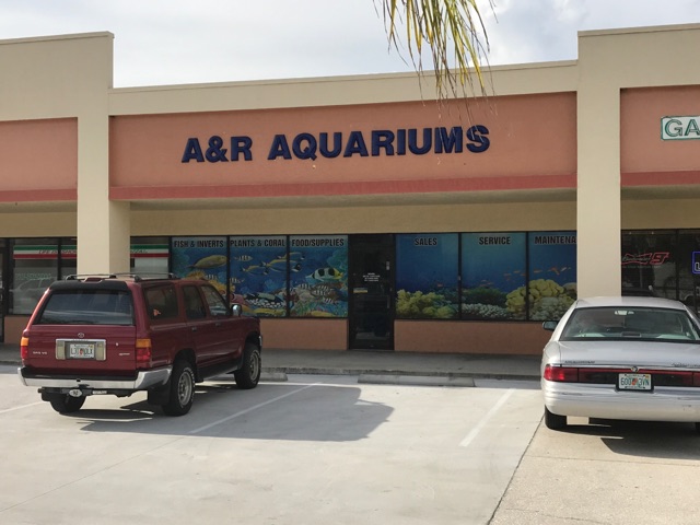 A&R Aquariums - Main photo