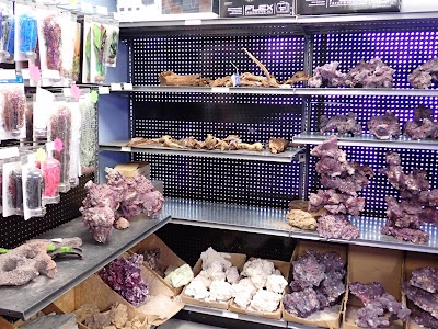 A&R Aquariums - Photo 4
