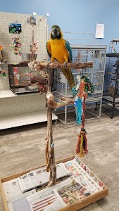 Animal Cove Pets & Pet Grooming - Photo 3