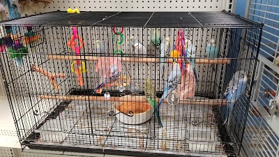 Animal Cove Pets & Pet Grooming - Photo 4