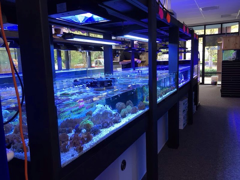 All Things Aquariums - Main photo