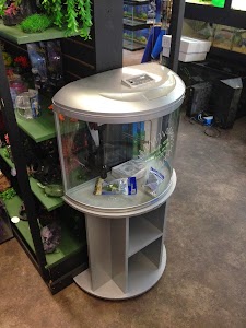 The Jungle Pet Shop - Photo 4